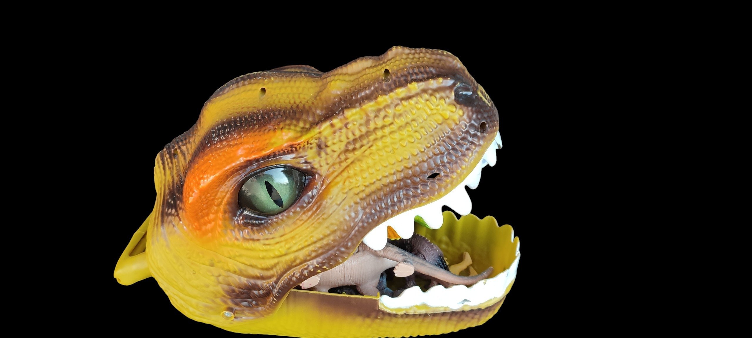 tête de dinausore garnie.            20675